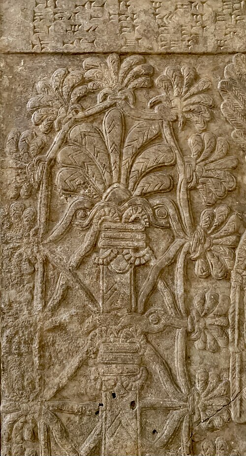 connect with plant spirit medicine