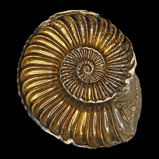 witchcraft ecstatic ritual.