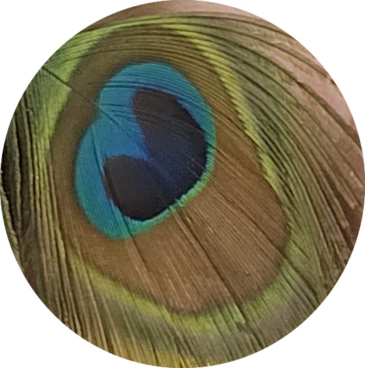Peacock Angel Melek Taus