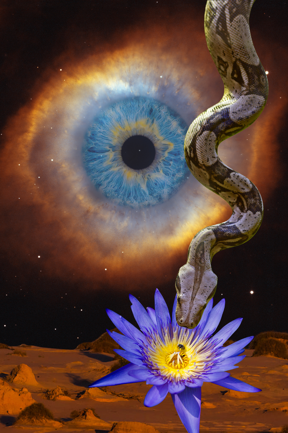 Eye, snake, and blue lotus for Aura Spirit Drawing Psychic Sessions
