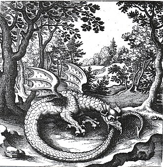 Ouroboros Dragon Soul Traditional Witchcraft Drawing
