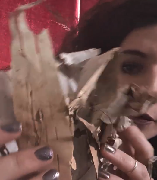 Raphael holding dried birch bark tree symbiotic relationships with Amanita muscaria mushroom